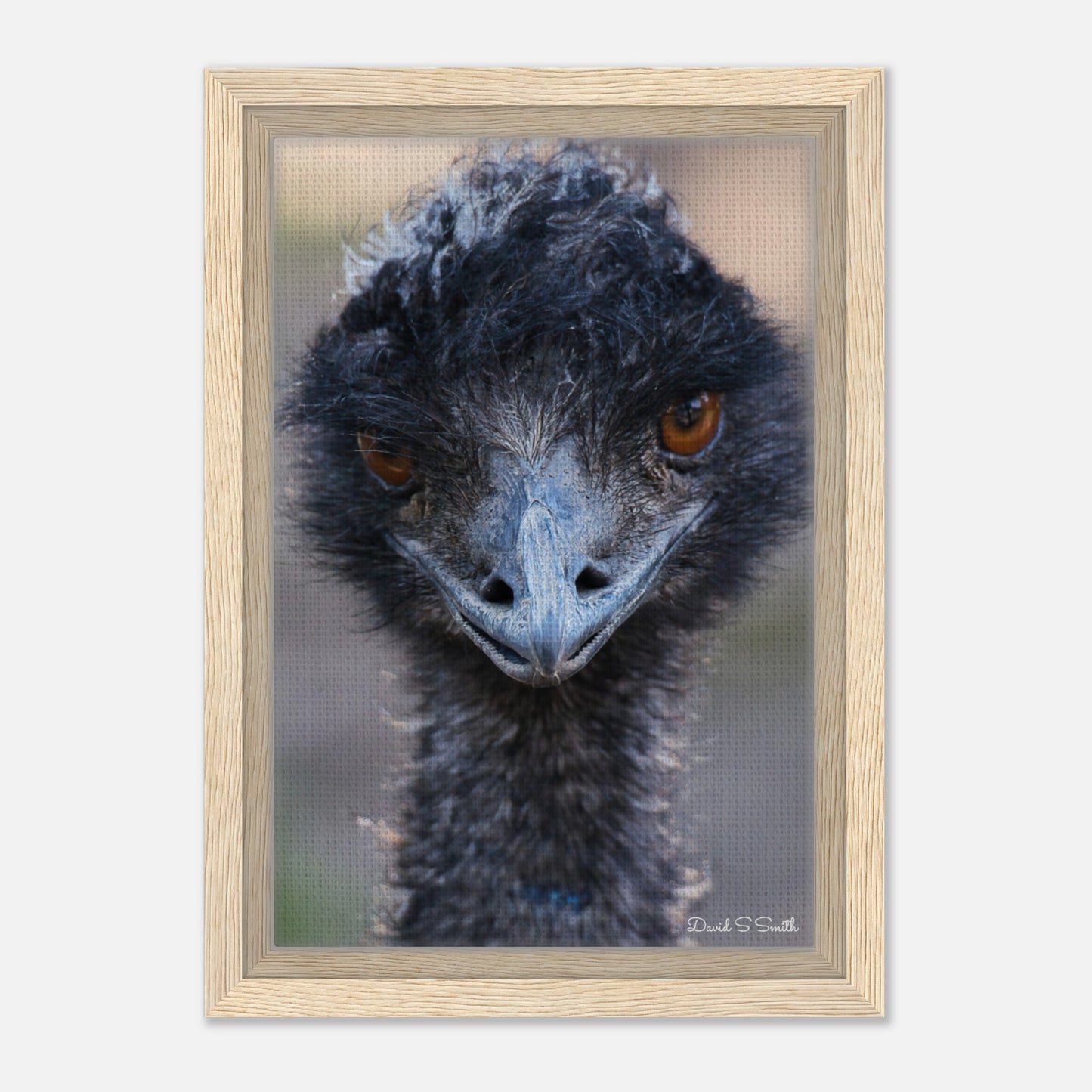 01e431fa-b5d9-4030-8bf2-56128f3d63f3