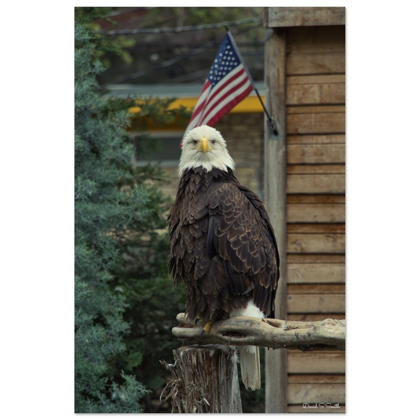 0e8dec65-f571-49b6-b58a-36bdc54d6a4f