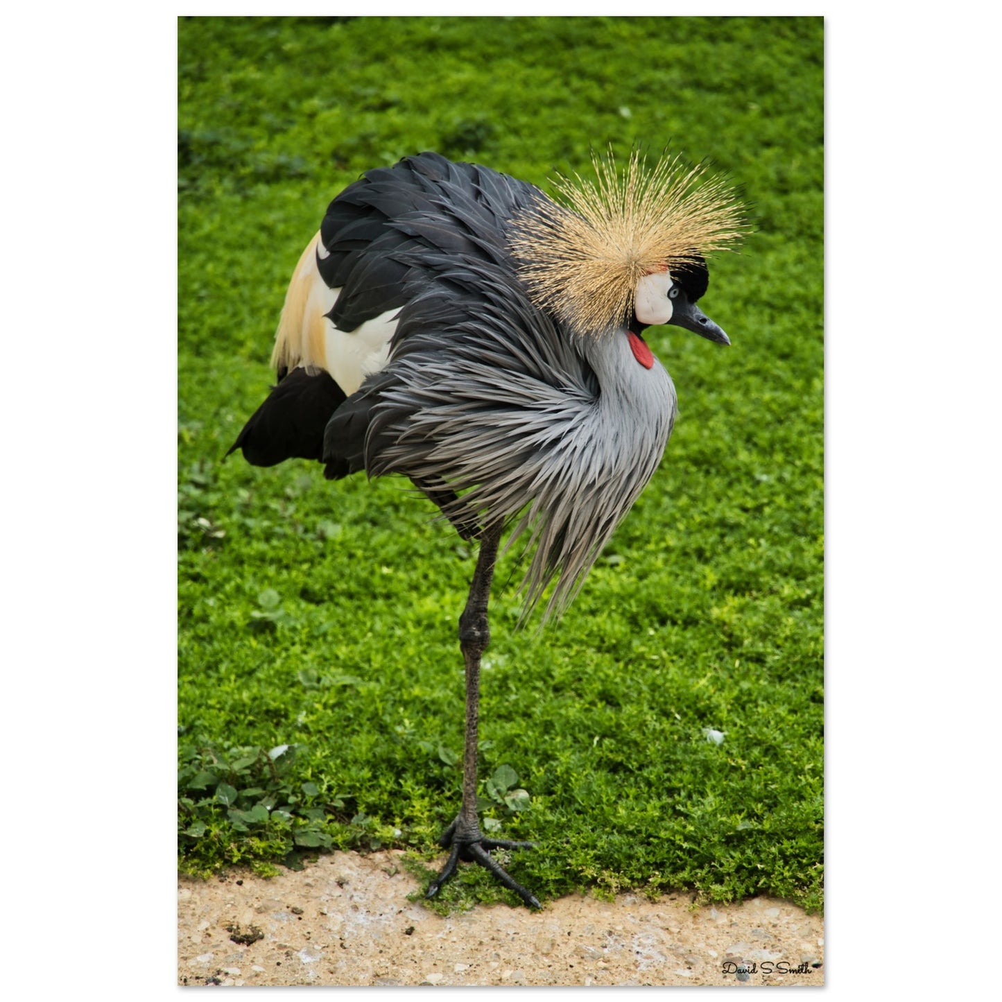 0ecf8ee6-dac0-4b92-9af2-140433a4c766