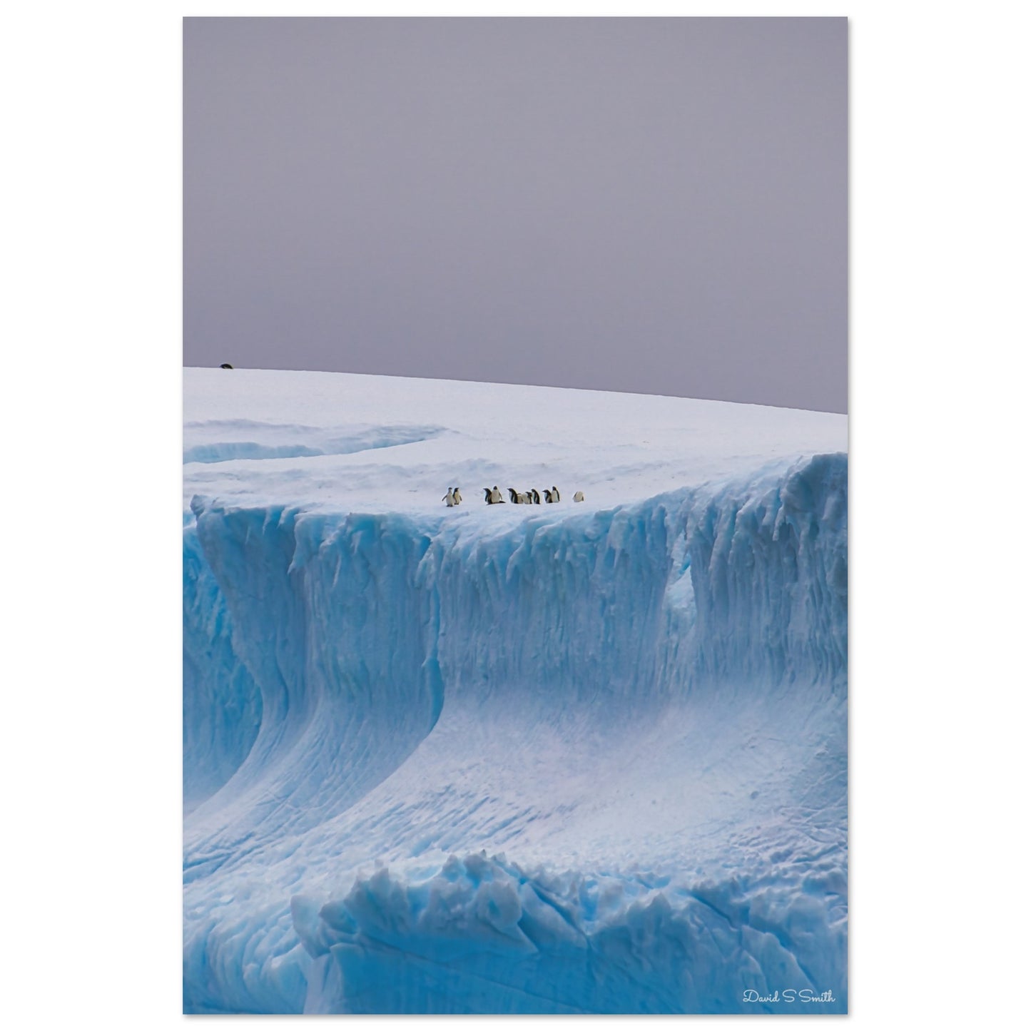 7af42213-093d-4d0b-8112-624485cd44ac