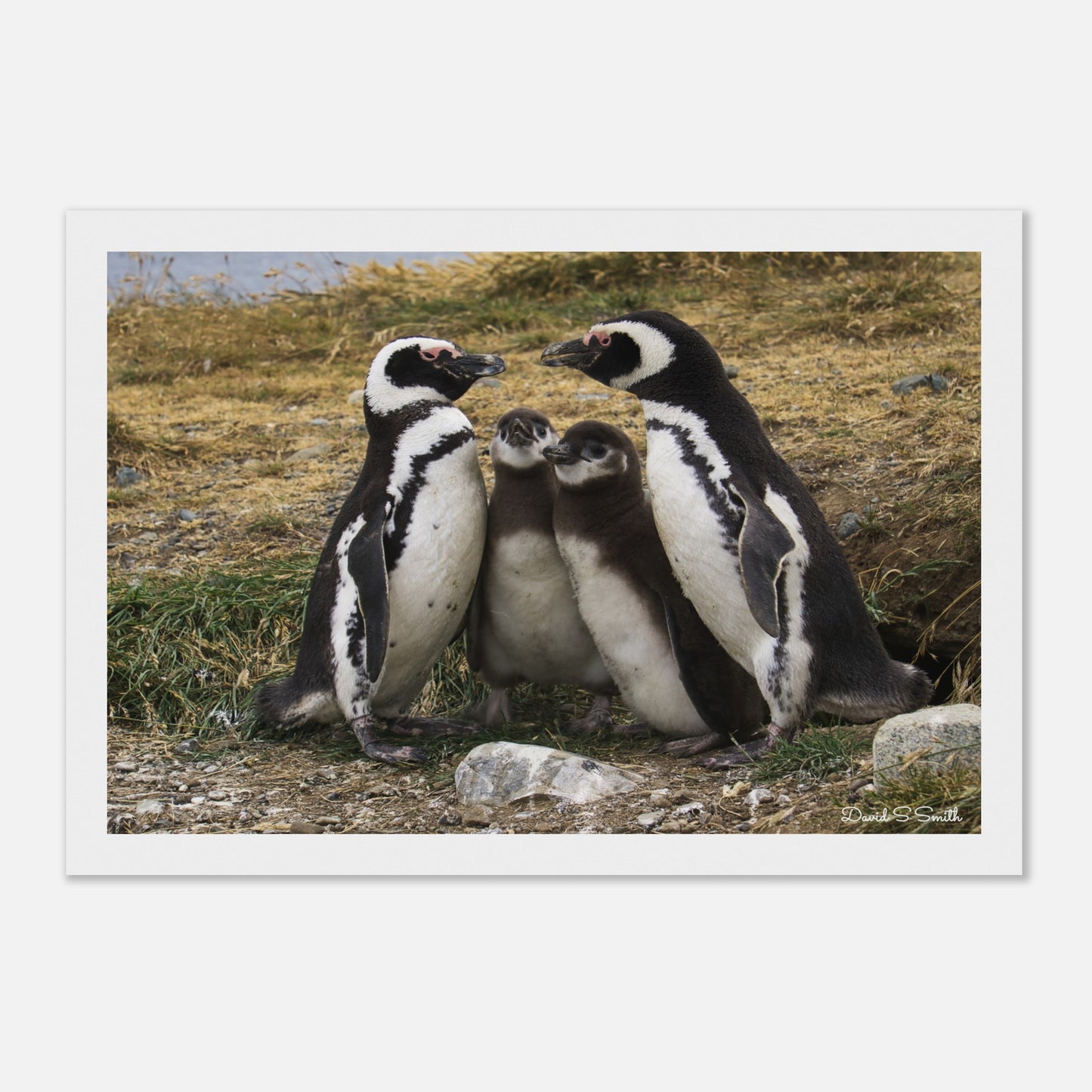 d7bb19d7-580c-4bab-ba0f-9f1d4ab29dc1