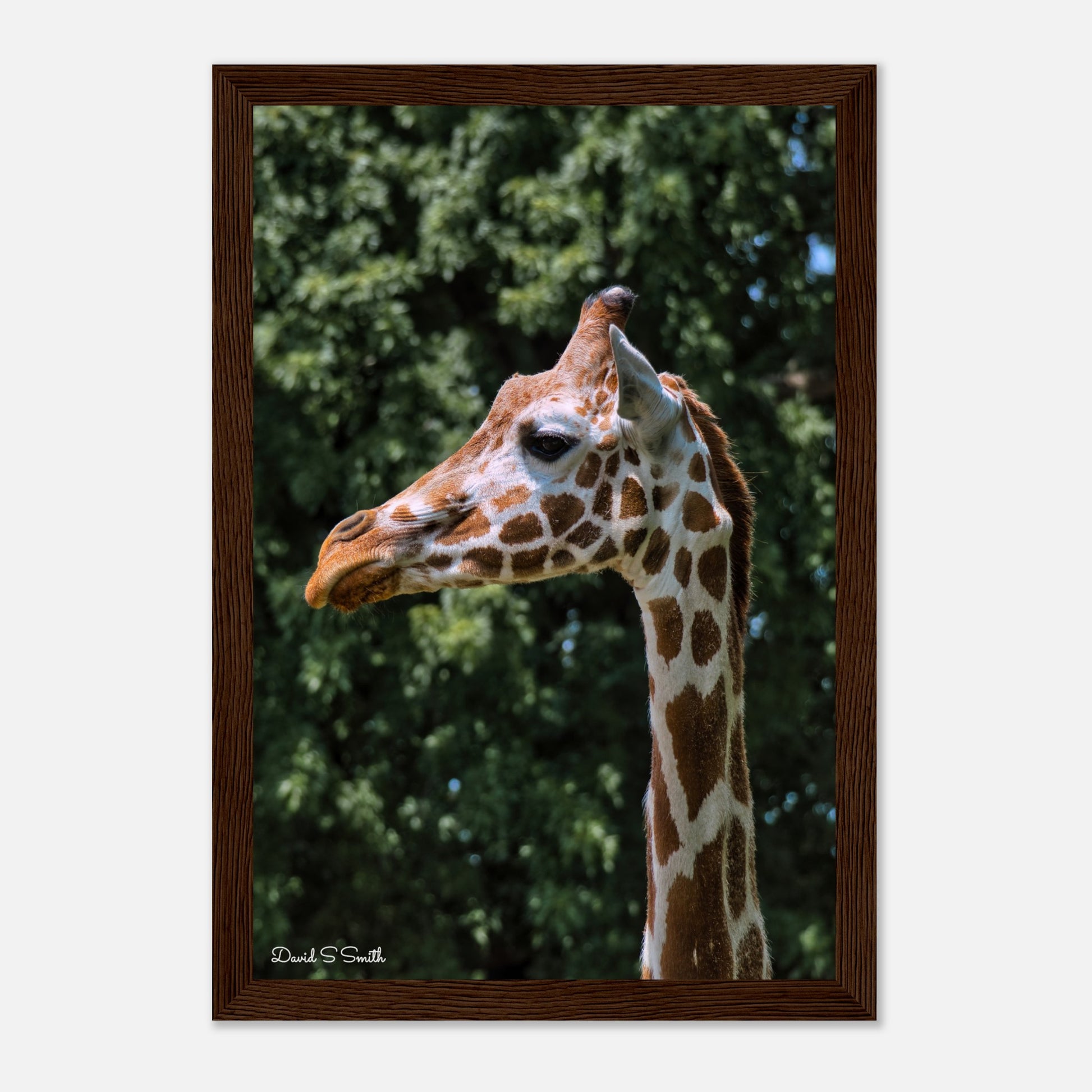 0134d548-1788-47c4-be0b-9ef31a66ba4c