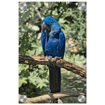 028244a6-133d-4d27-8e91-2af5f9c6bff7