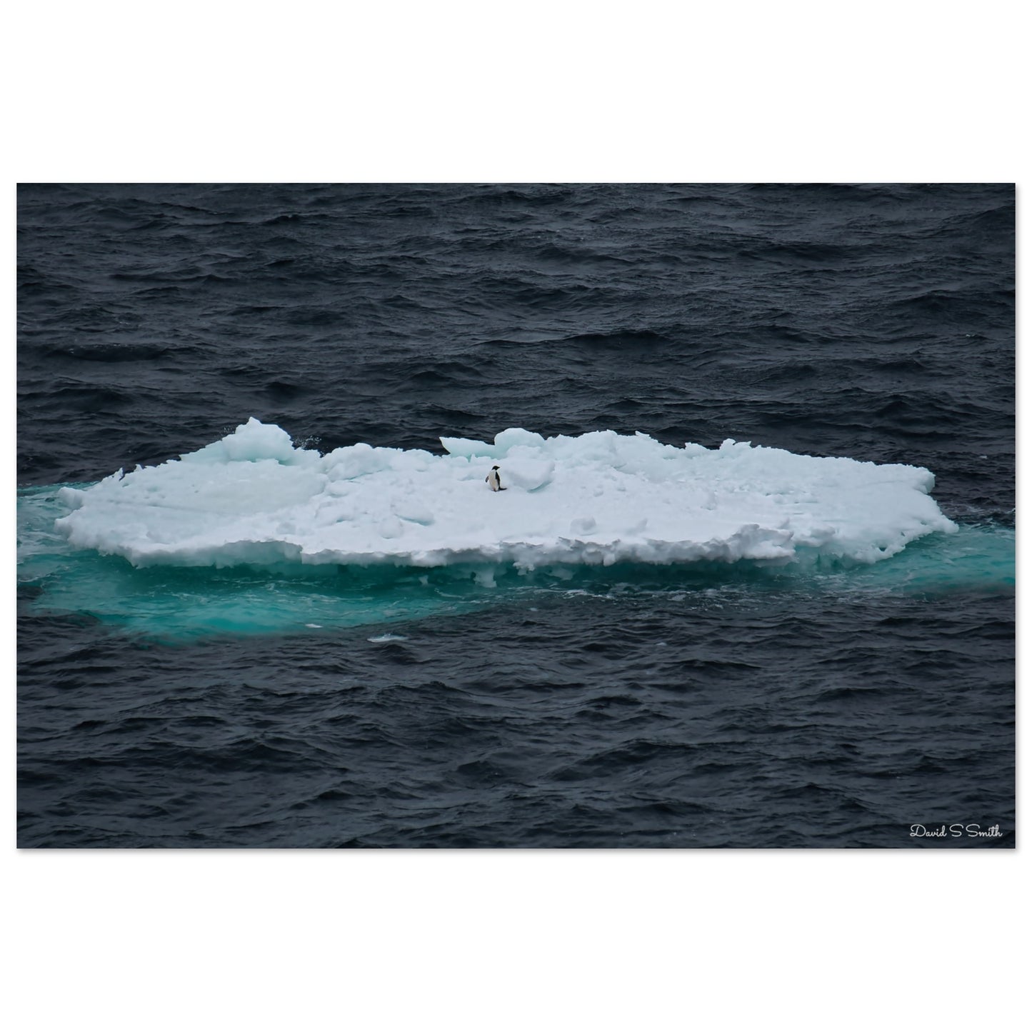 02e481be-98cf-47cc-85c6-1dfb61918c72