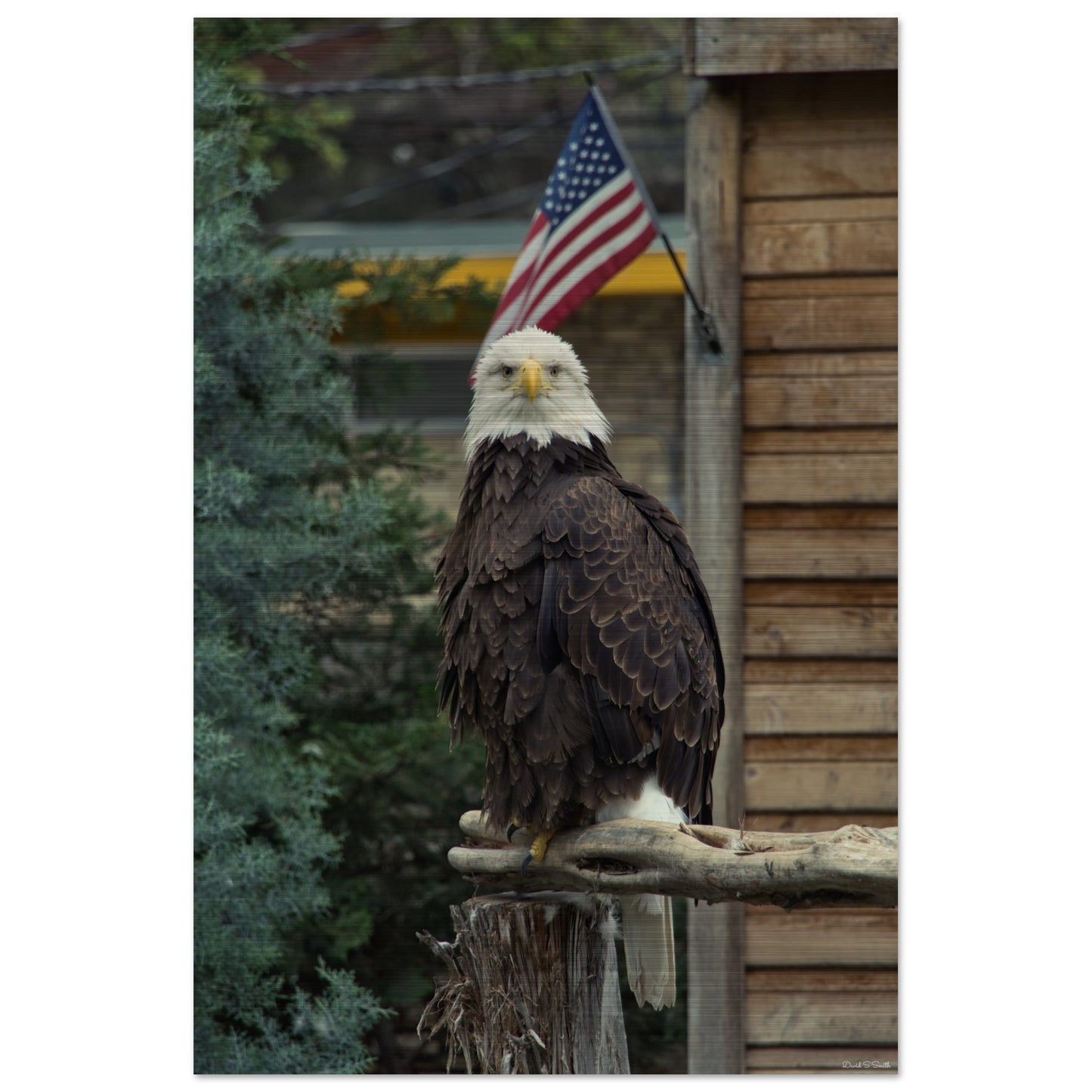 0357d383-9306-4d21-96ca-d2f291761c18