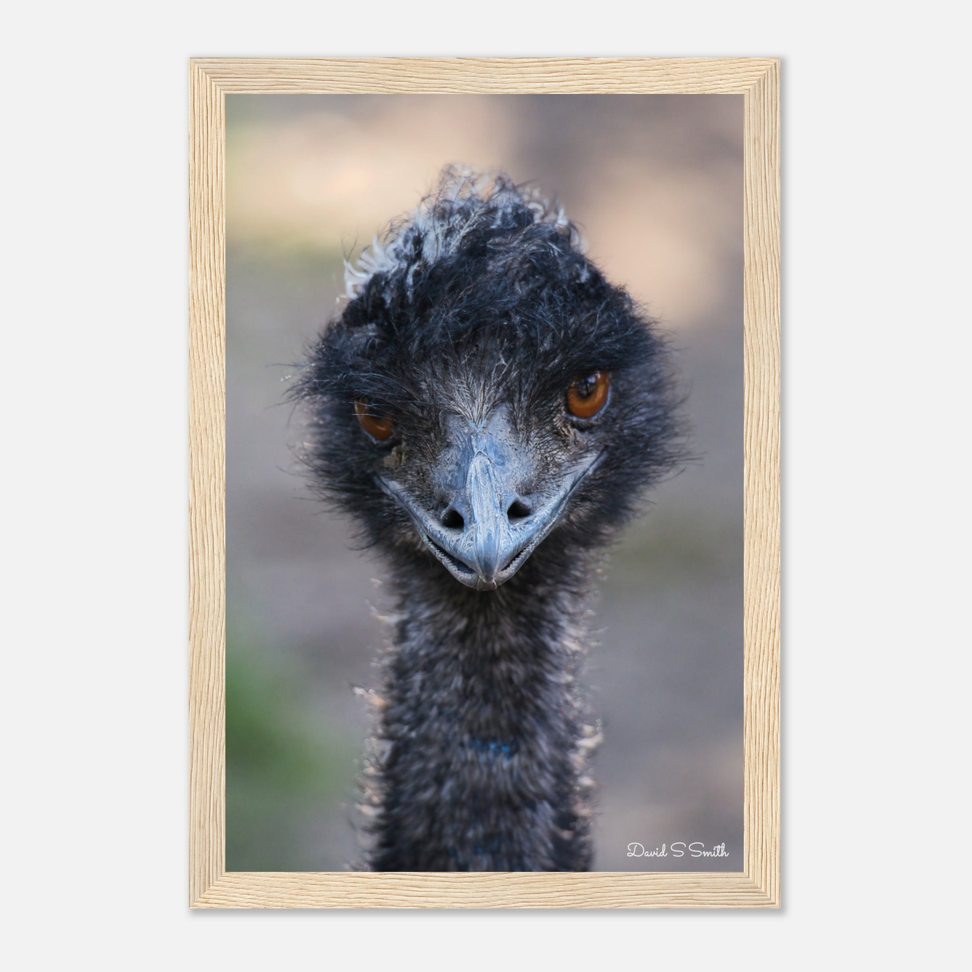 04395aa4-f33b-4992-848a-ff3d45958838