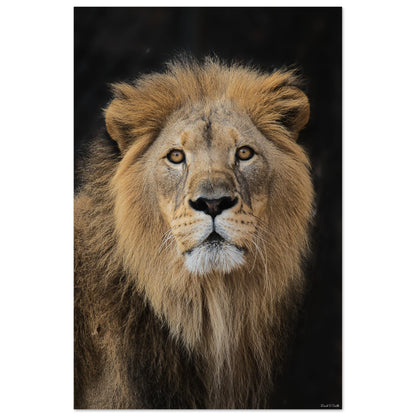 066cc76f-629a-408f-b7be-bf5610421760