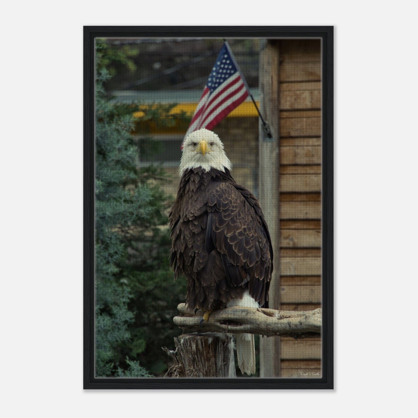 0784cc3c-7422-4910-9b82-07b697d4ca50