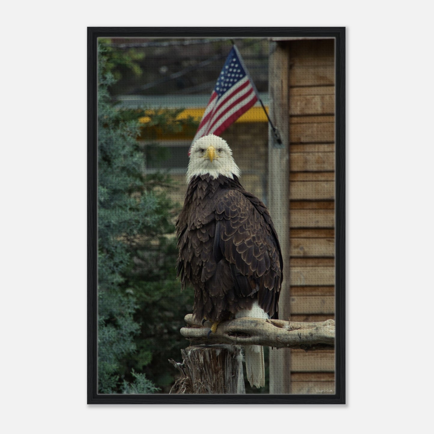 09ab61ea-1177-4d58-9325-05b481114fd1