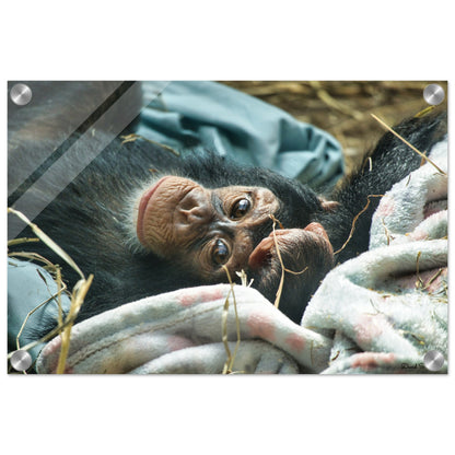 0b1e89cb-217d-46c1-b667-7dcf4a07be52