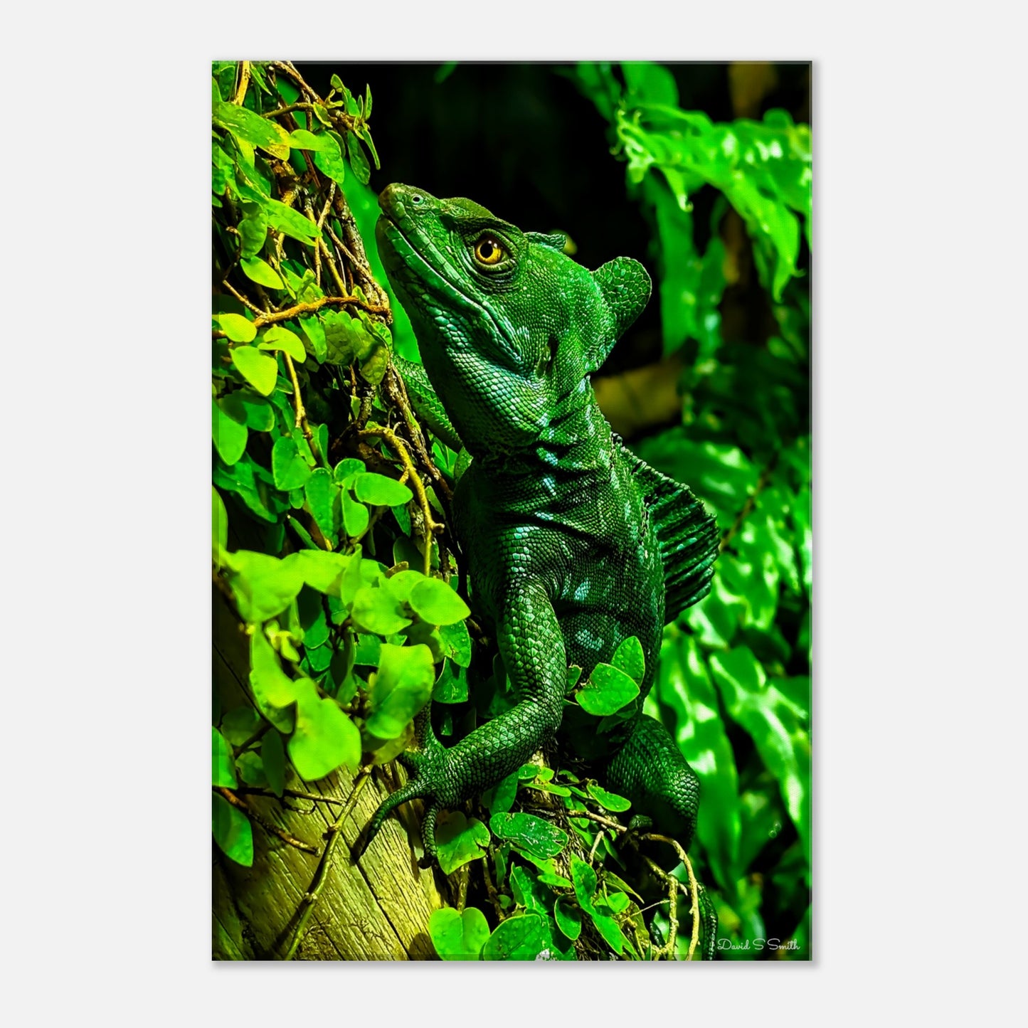 0b9bb073-1666-44fa-932b-03ae858e24b7