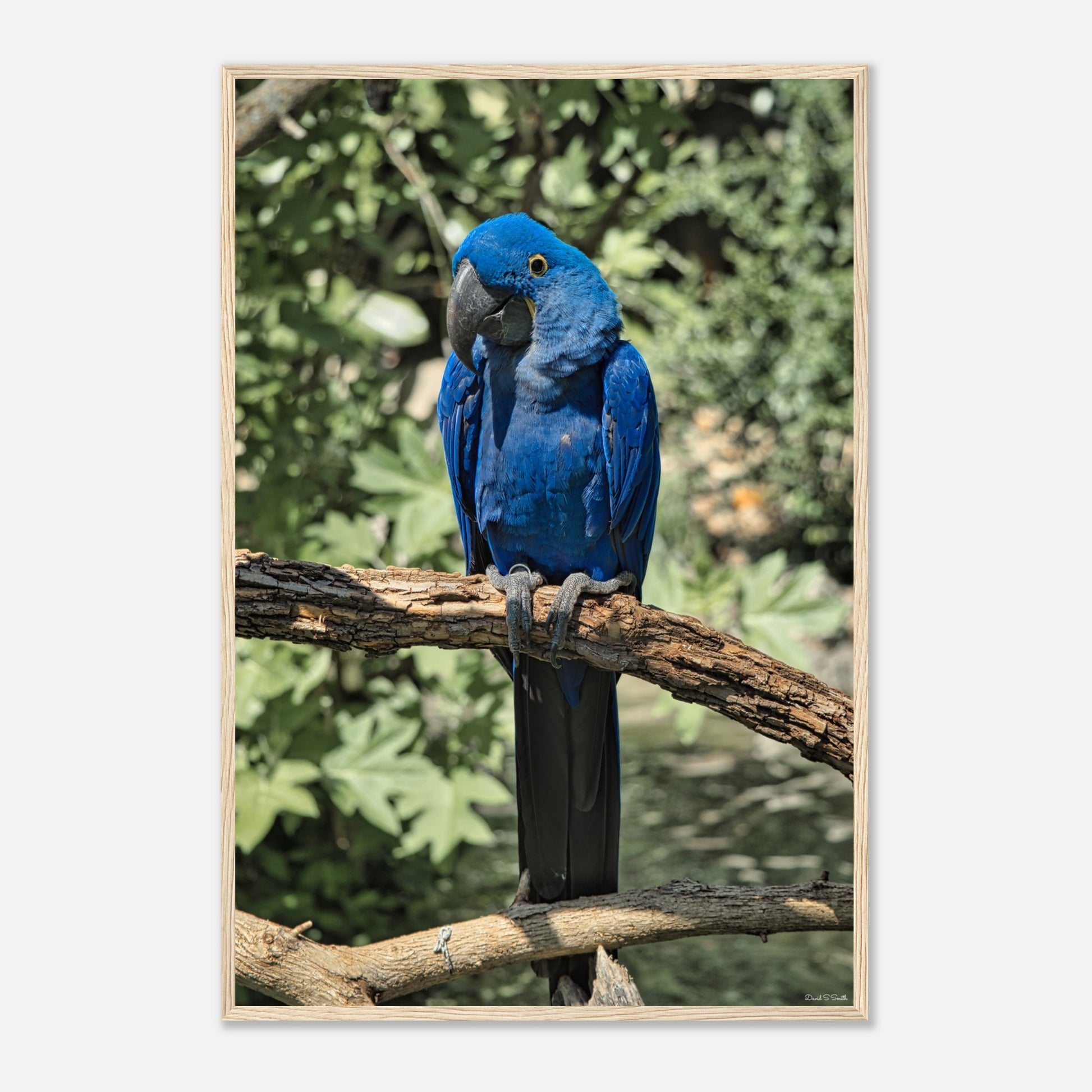 0d08b398-fa7b-4905-adfd-b187c143651f