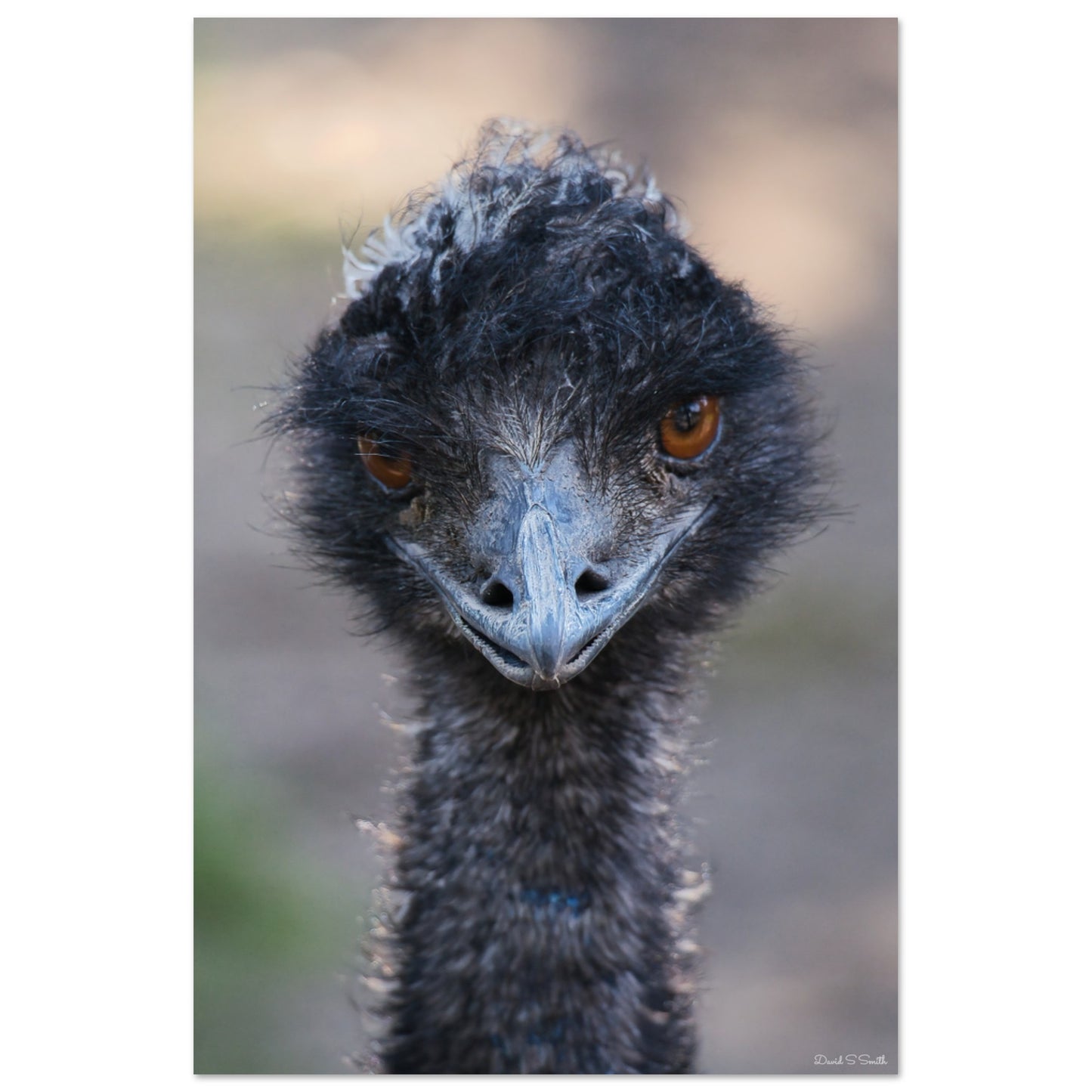 0e32ee35-f064-40a3-8c10-bcf25aa89f8e