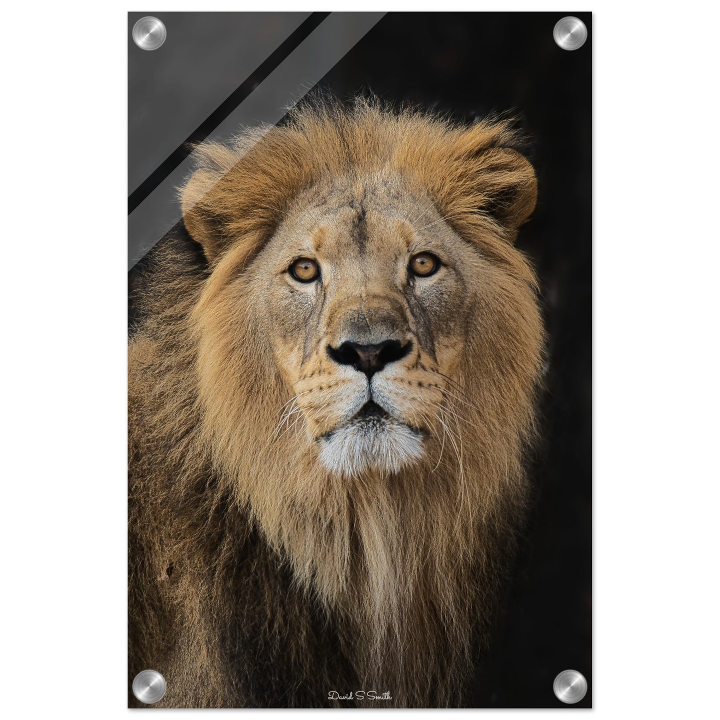 0fd654e6-97b3-46fa-bb35-9ce952e2d68e