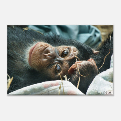 1042678b-0903-45c8-87ef-3e4745a92e46