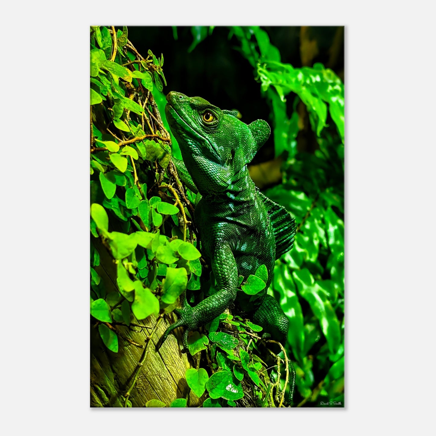 10d6f23d-9365-47fd-ba8f-64e7d91e8118