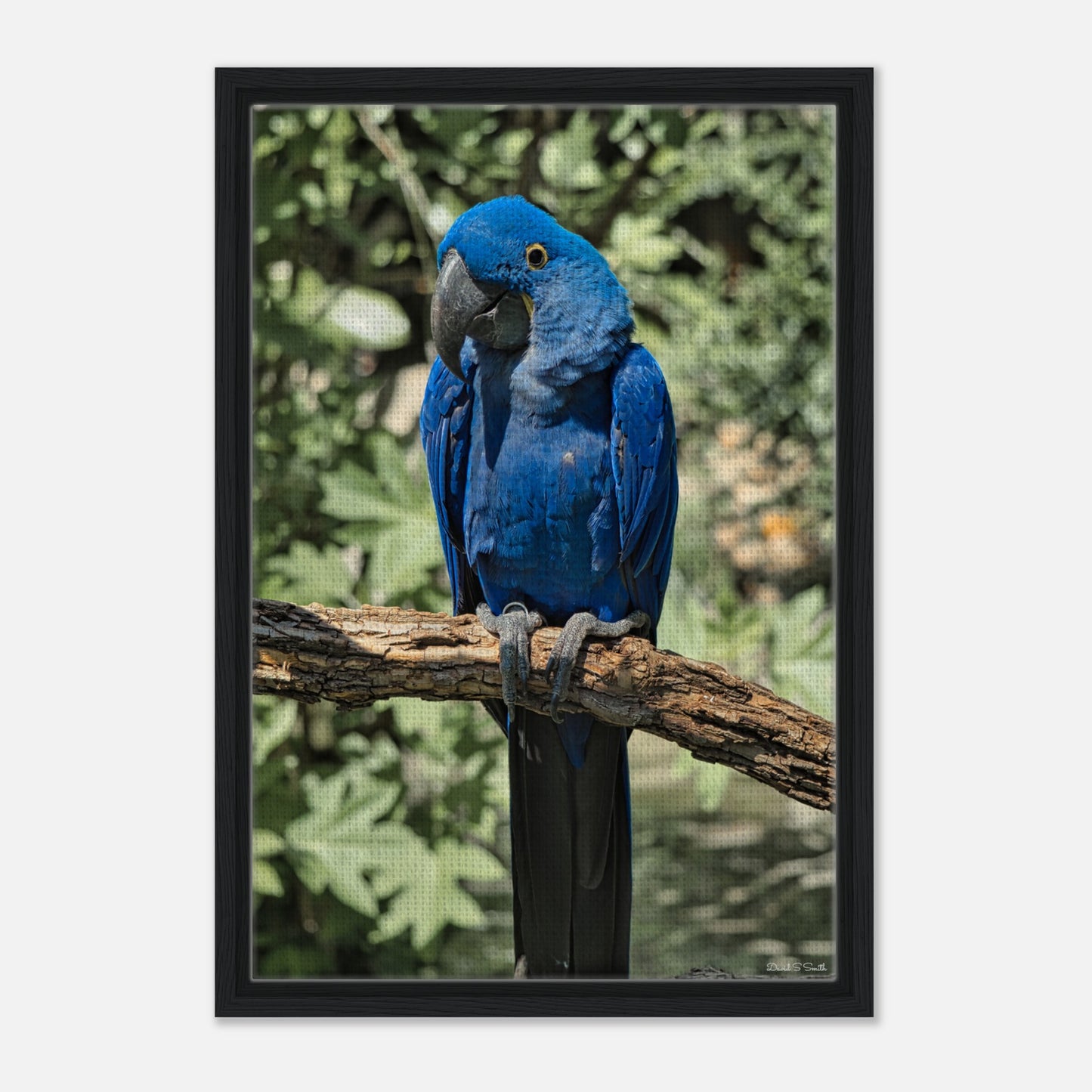 1212a62d-725f-429b-921c-5d8902433ffa