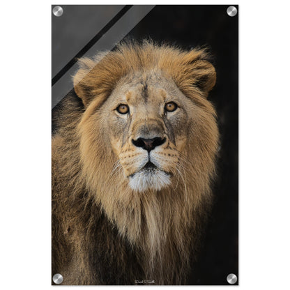 134d78d3-09d2-46d7-b2fc-70b48028266d