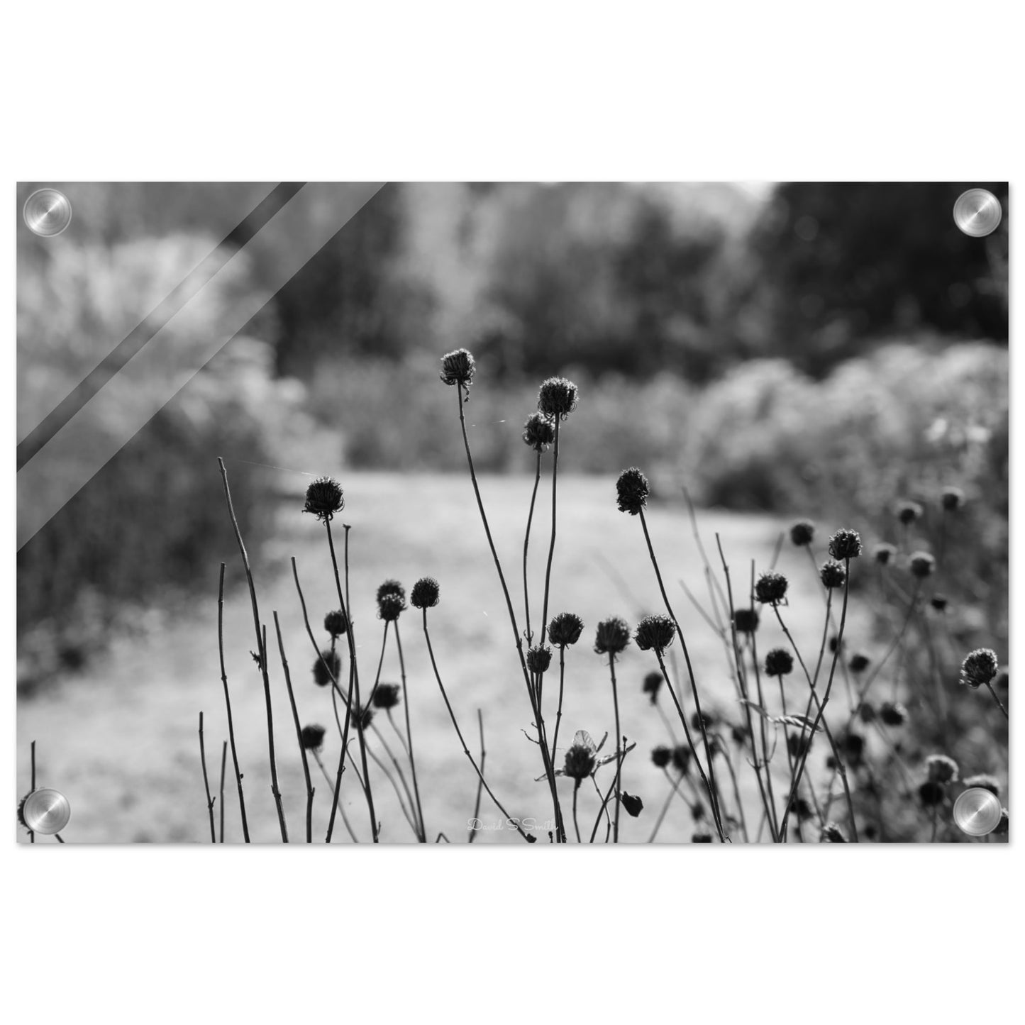 136852ce-f605-40e4-8bed-6dde3b018c24