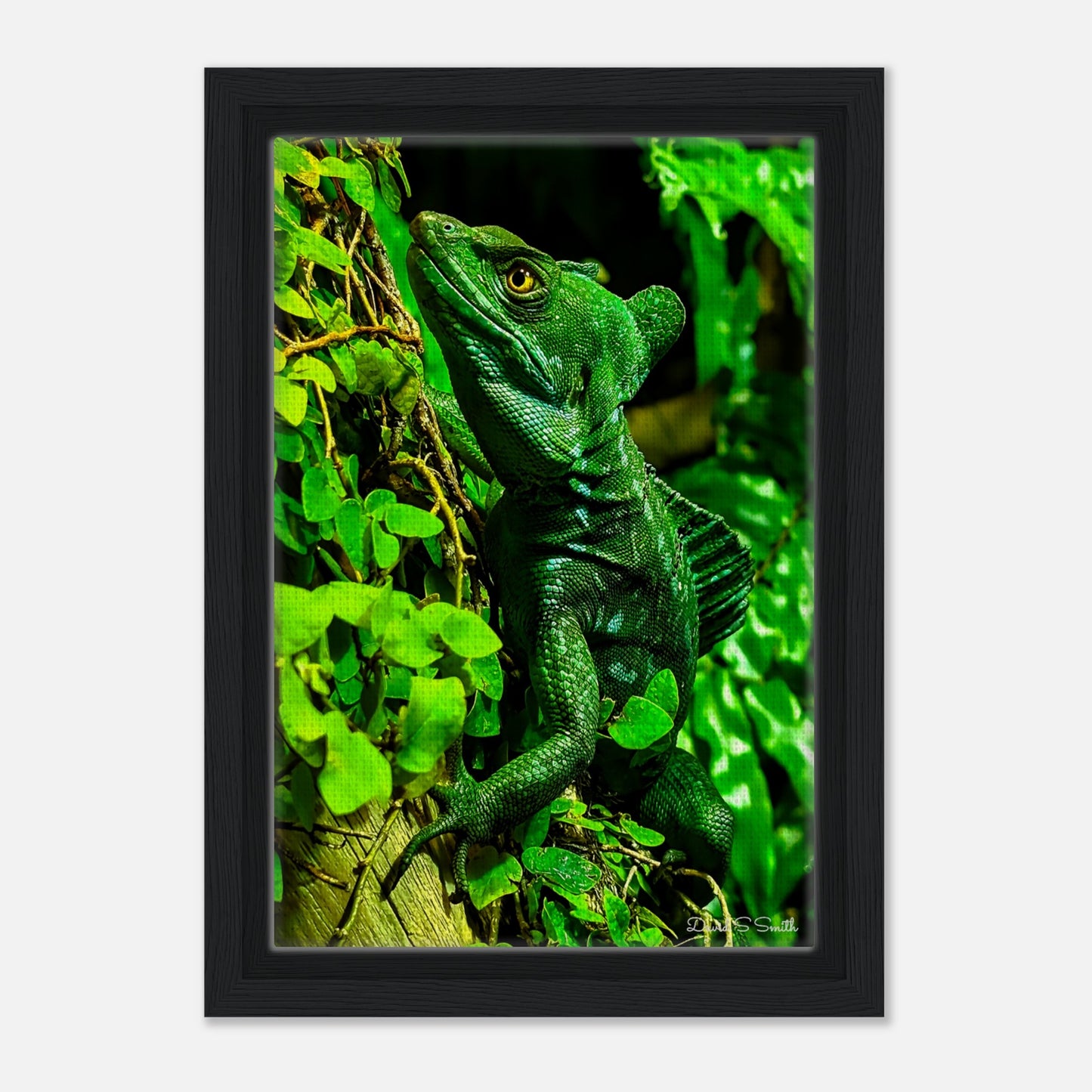 153c7d74-b2f5-40e6-ae36-b3d766231319