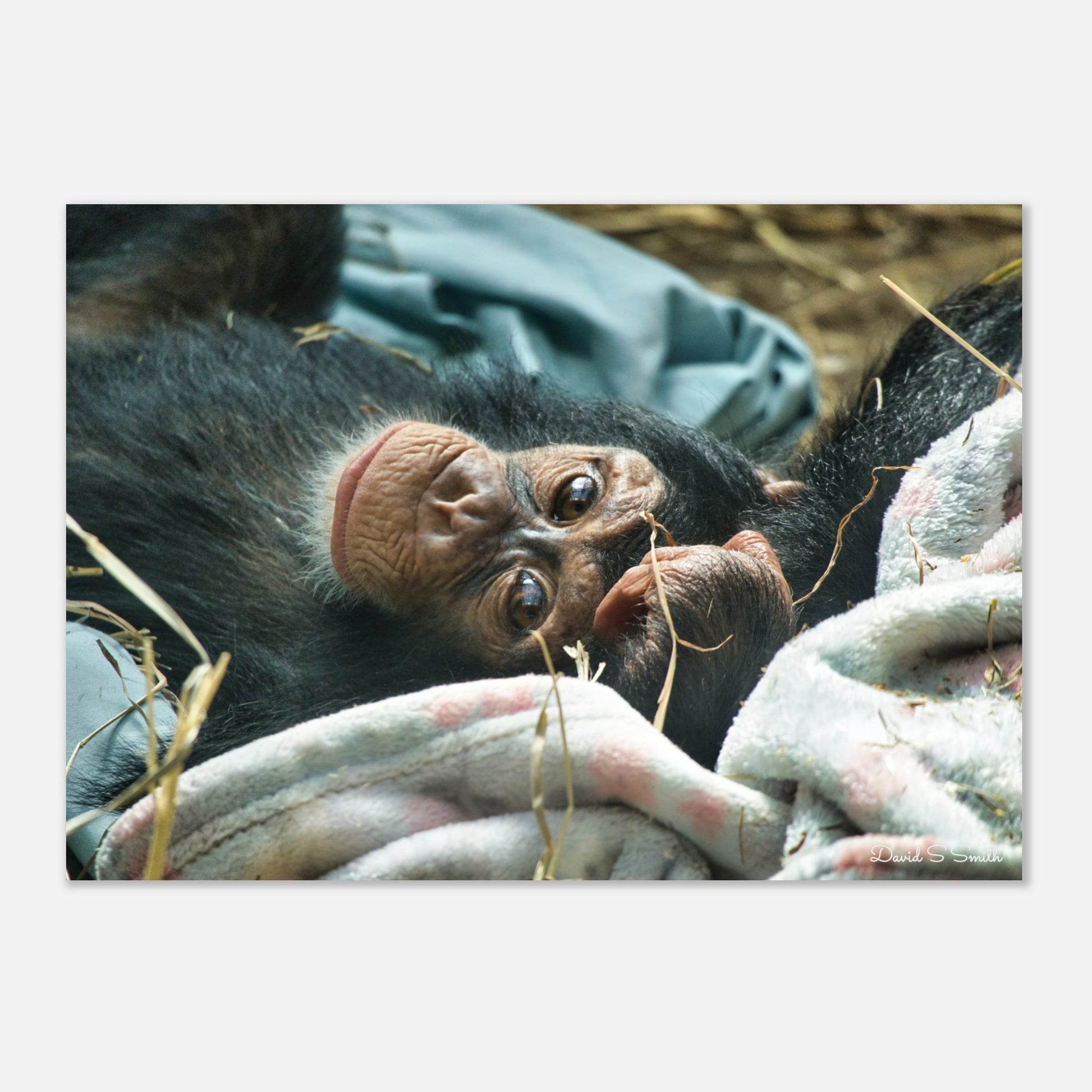 15ddc7fa-1c31-465e-b76f-6c39f5302708