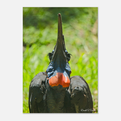 15e0e39d-bf74-43c6-a750-5546b6a1dad5