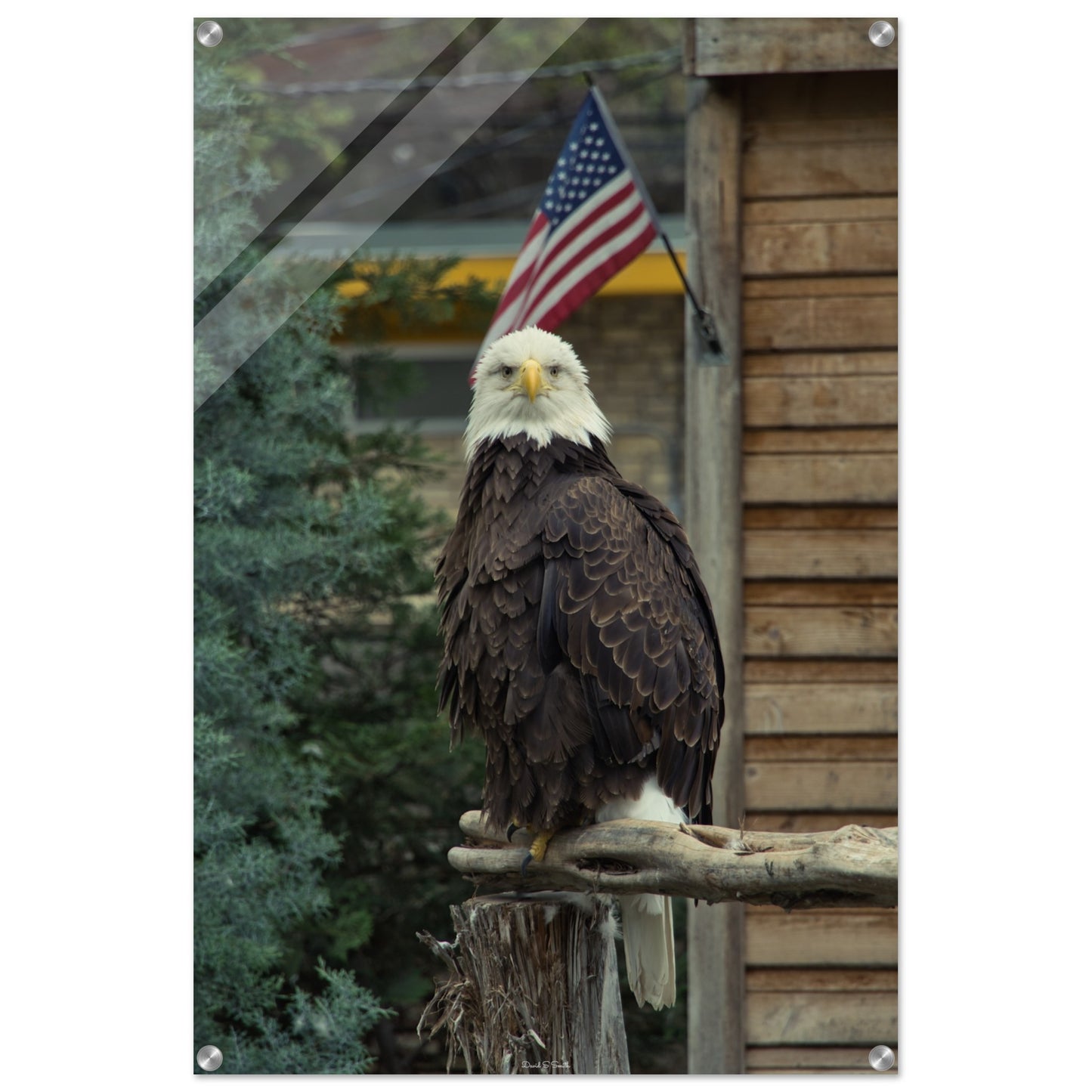 19854318-5e7f-47dd-8604-d28a98733e07