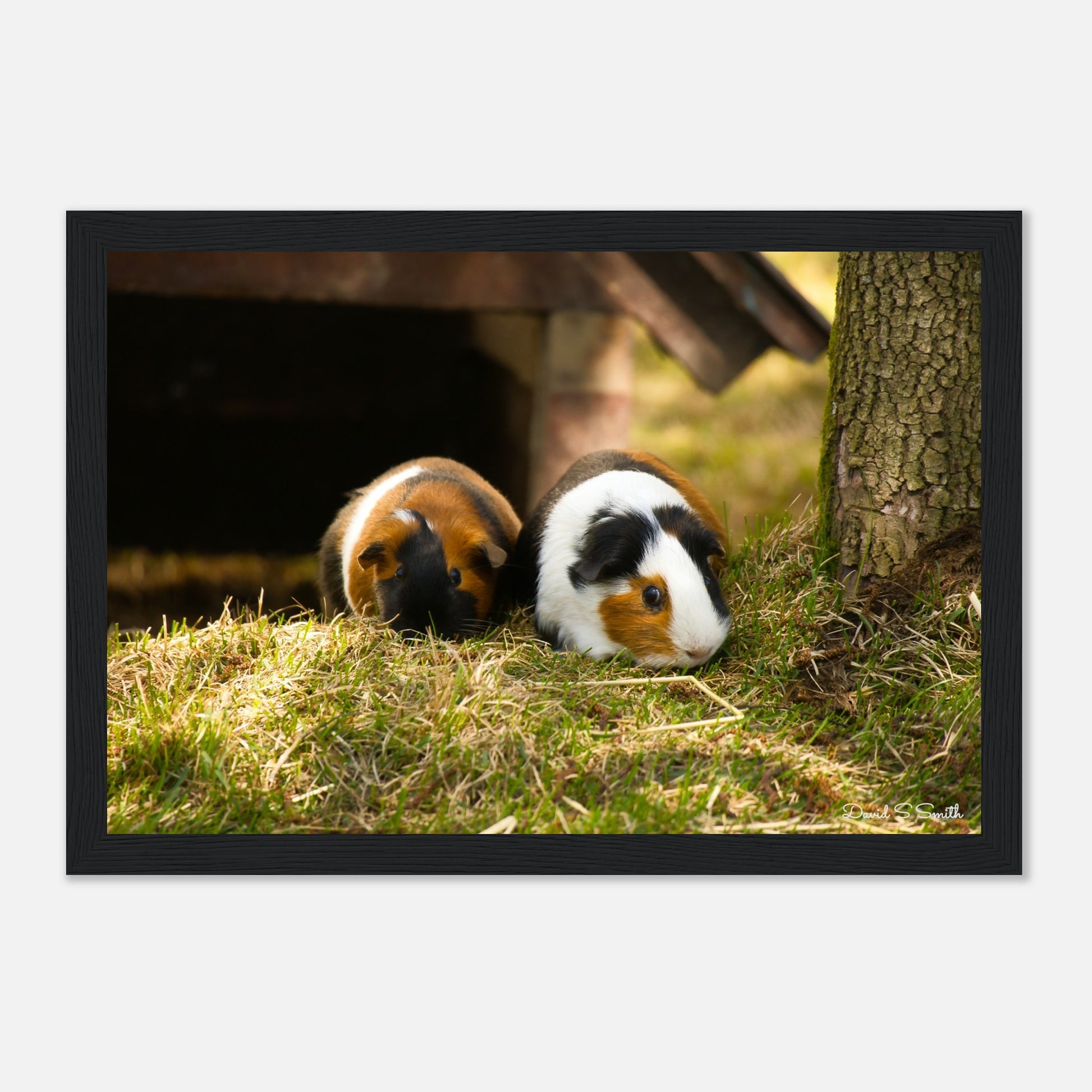 19d39284-dc1e-4a66-b9ce-fc3ad40ea57c