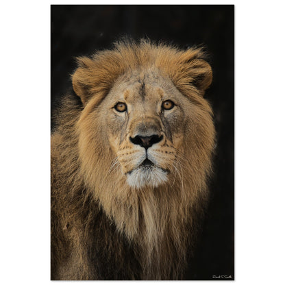 1a5b1c93-7820-4091-8ba8-da6e5c9dbea1