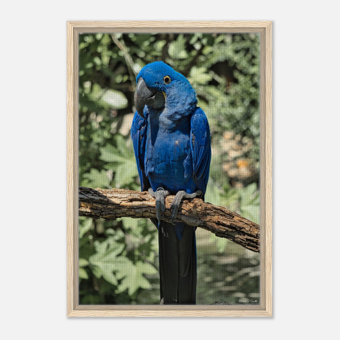 1cb21af0-fc14-424c-987f-f10bf4d5a2e6