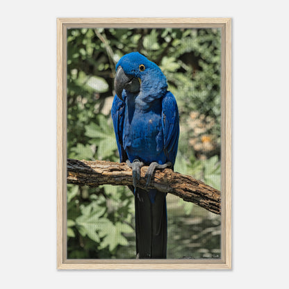 1cb21af0-fc14-424c-987f-f10bf4d5a2e6