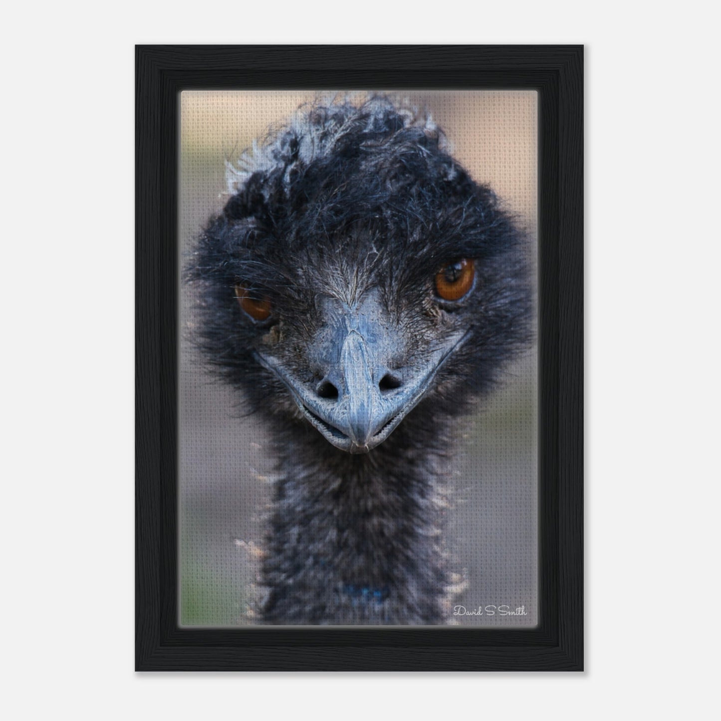 1cf31498-7397-449b-b622-8713a98e7213