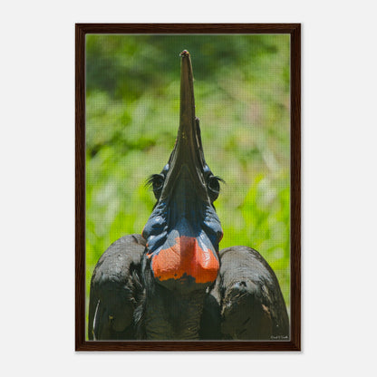 1d1e5e05-12d4-4c30-a7b9-490932342880