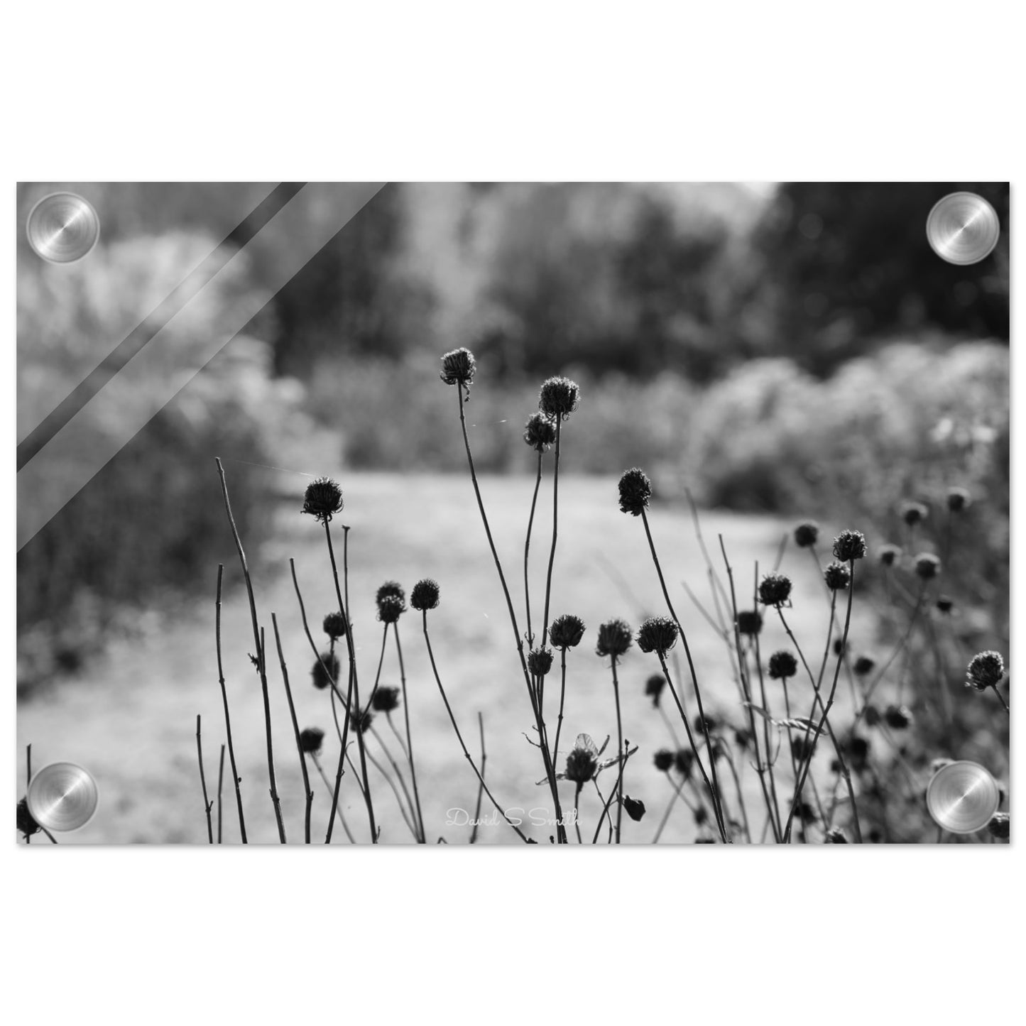 1d2cb4fe-b291-4f43-bc20-7b924d9a2cc2