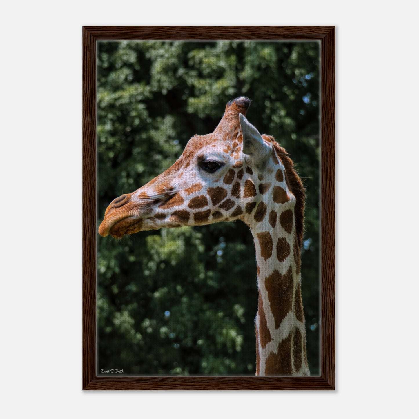 1d5792a4-6c32-463c-a510-638f4a45d960