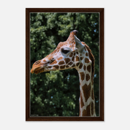 1d5792a4-6c32-463c-a510-638f4a45d960