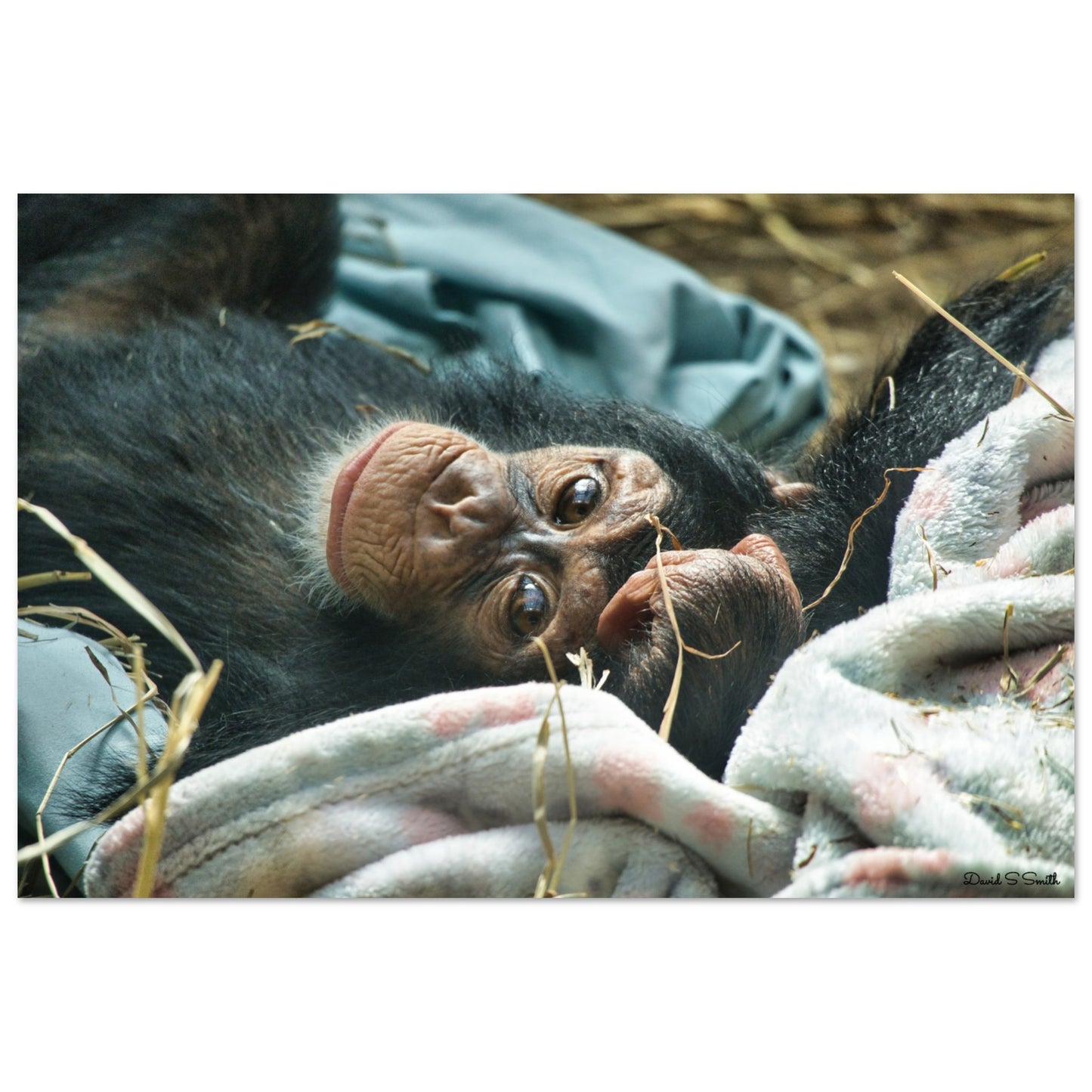 1e70ea65-9590-46c4-836e-eff69af58660