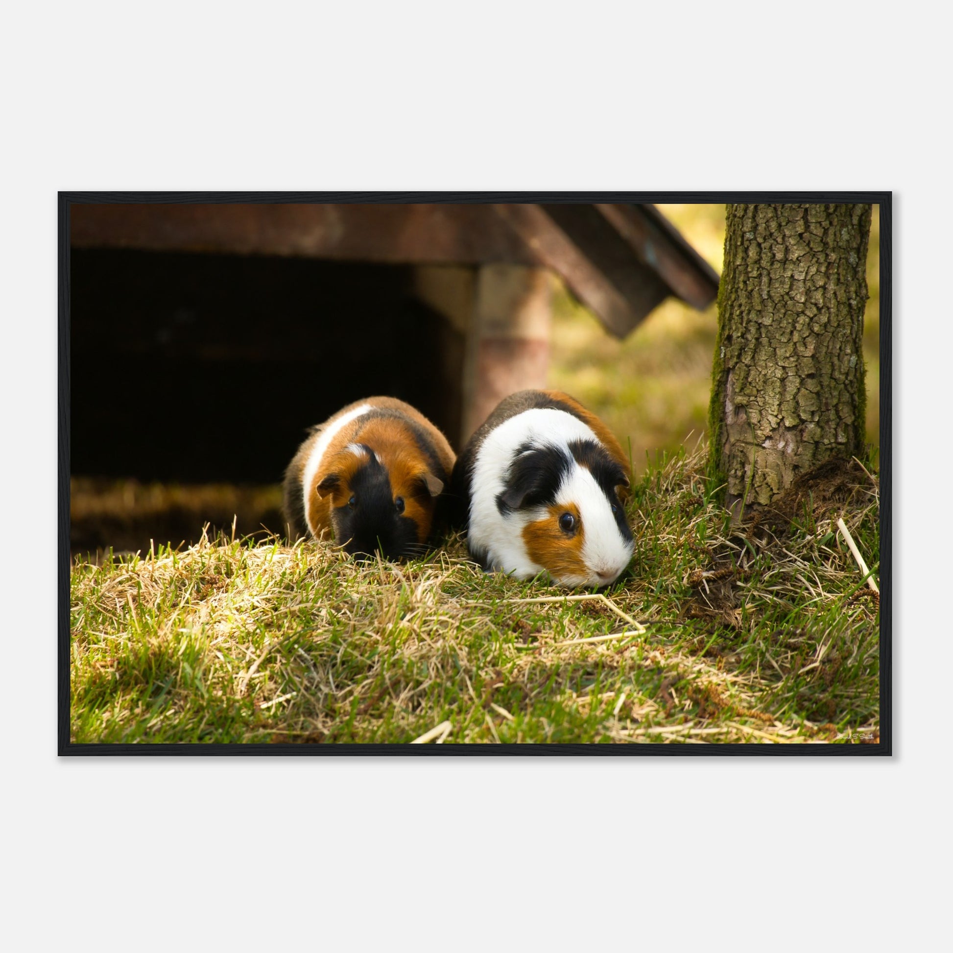 1ec7c7ca-9493-4242-878c-6c6a391b423c