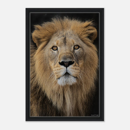 1ef7f795-1467-47d6-a413-2b90bc4921cc