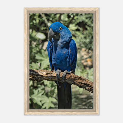 212424fd-368e-491f-b45f-6d3ea69b69e8