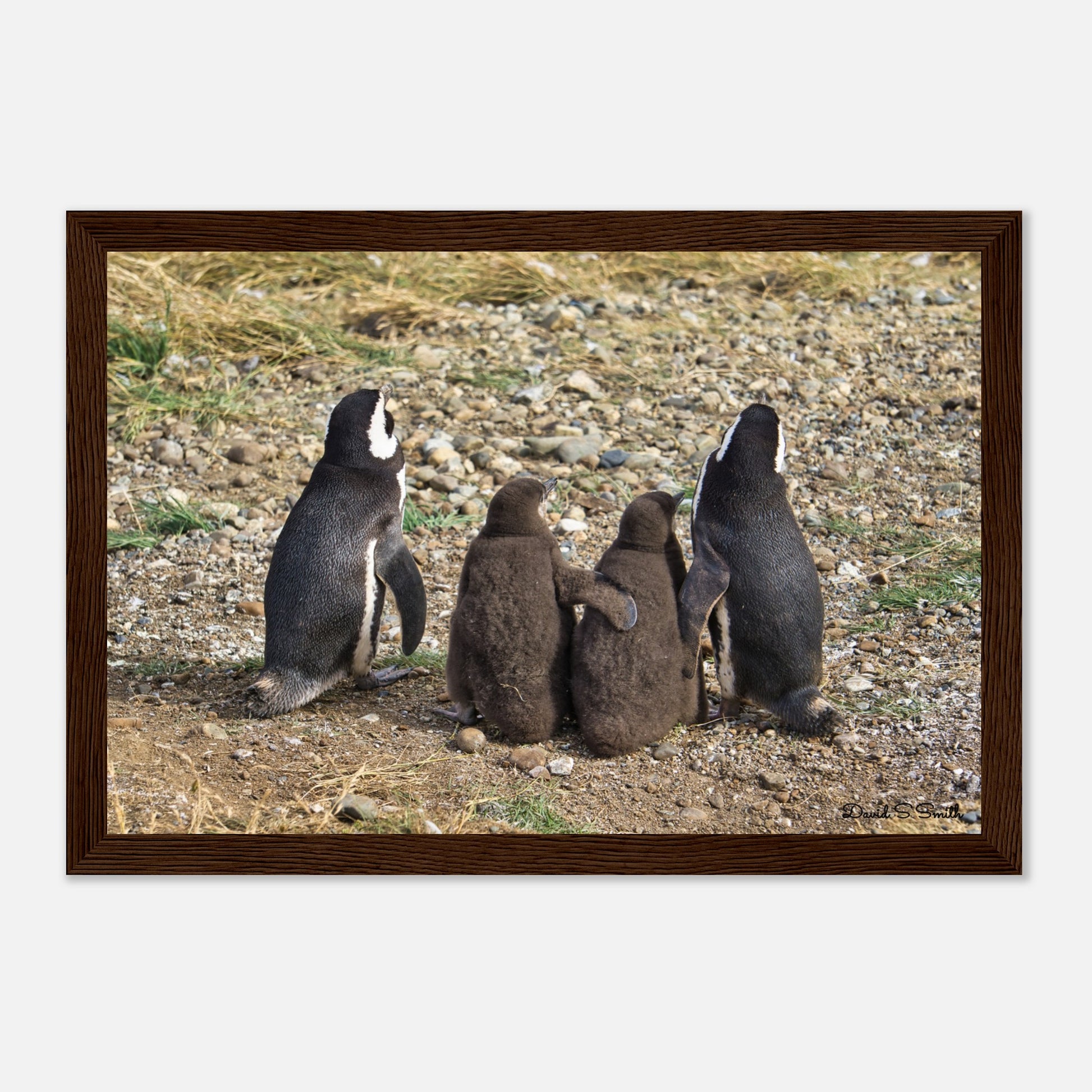 212eb757-c537-4f82-a3ea-ba6646b0480b