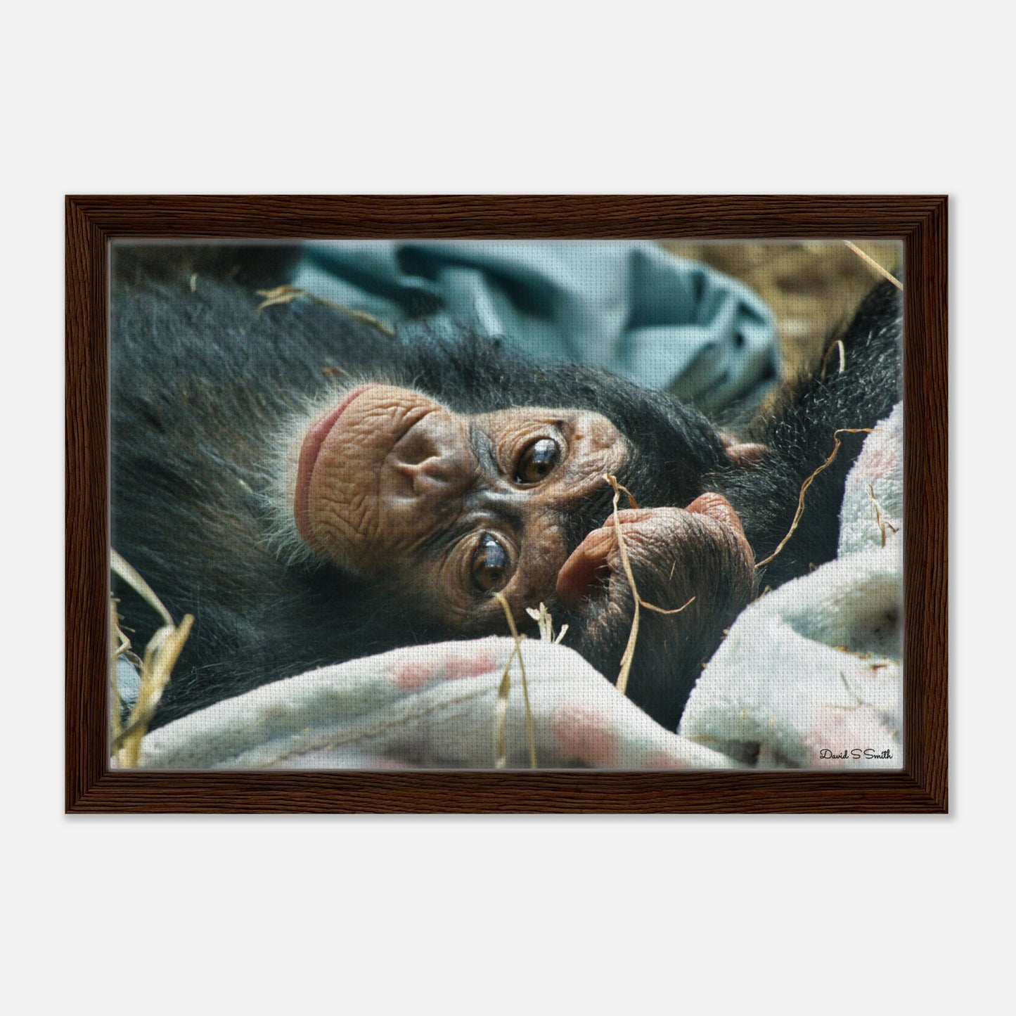 21c199e7-910b-4d62-a625-ea8fed204ad7