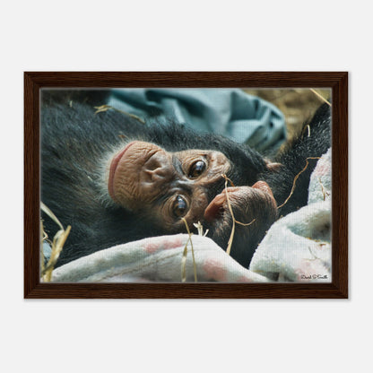 21c199e7-910b-4d62-a625-ea8fed204ad7