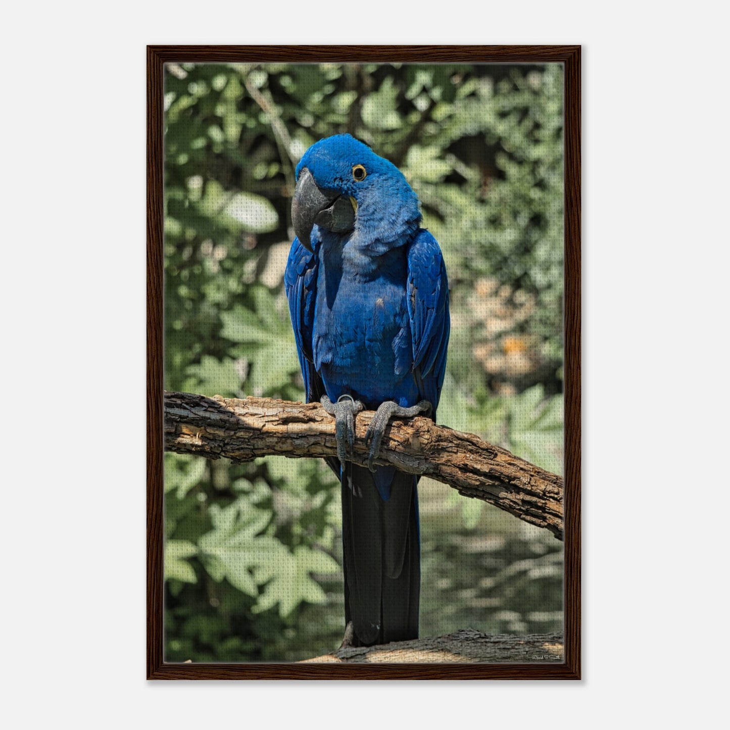 22f92cf6-38b9-45e5-9b5b-95eabdcfd92e