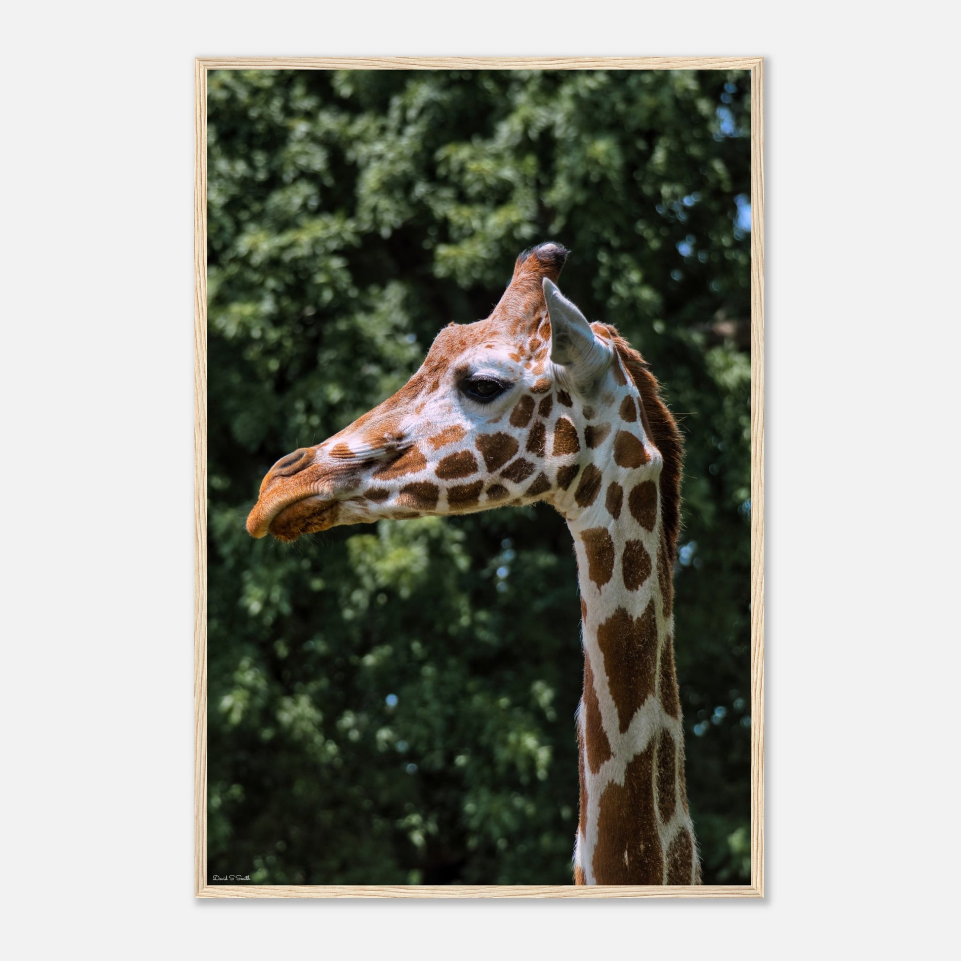 23390933-e23d-4d2f-bc16-f4187da456f4