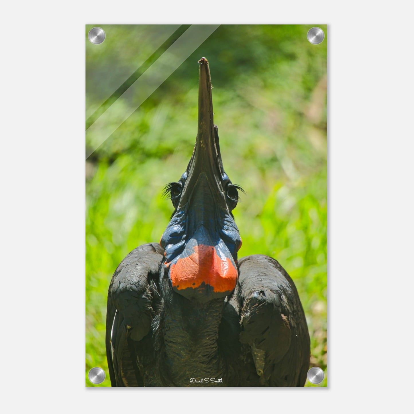 24d34406-a6dd-4069-9bba-fb483217f36f