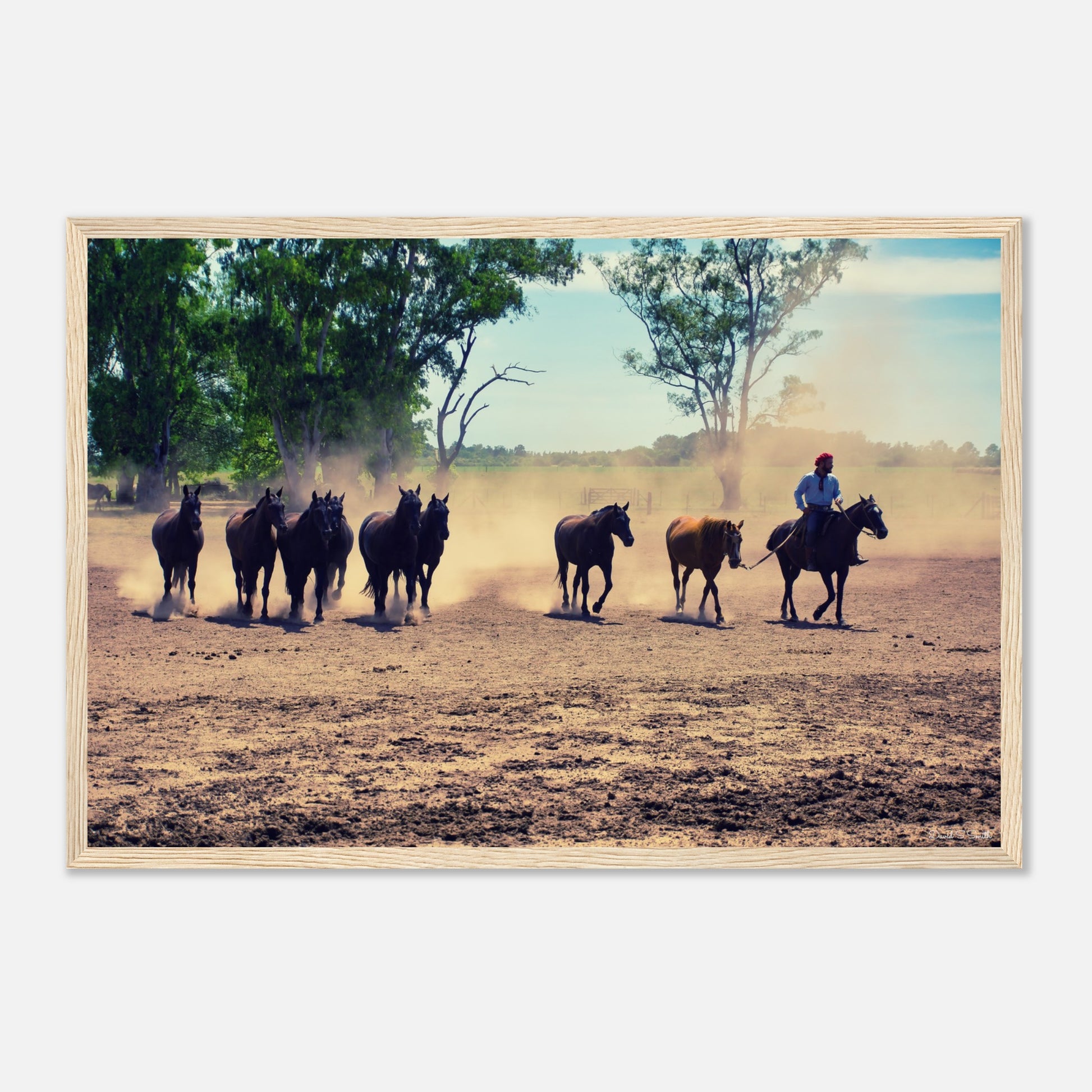 24e0a0db-729f-40af-b9d3-b91aafd2a535