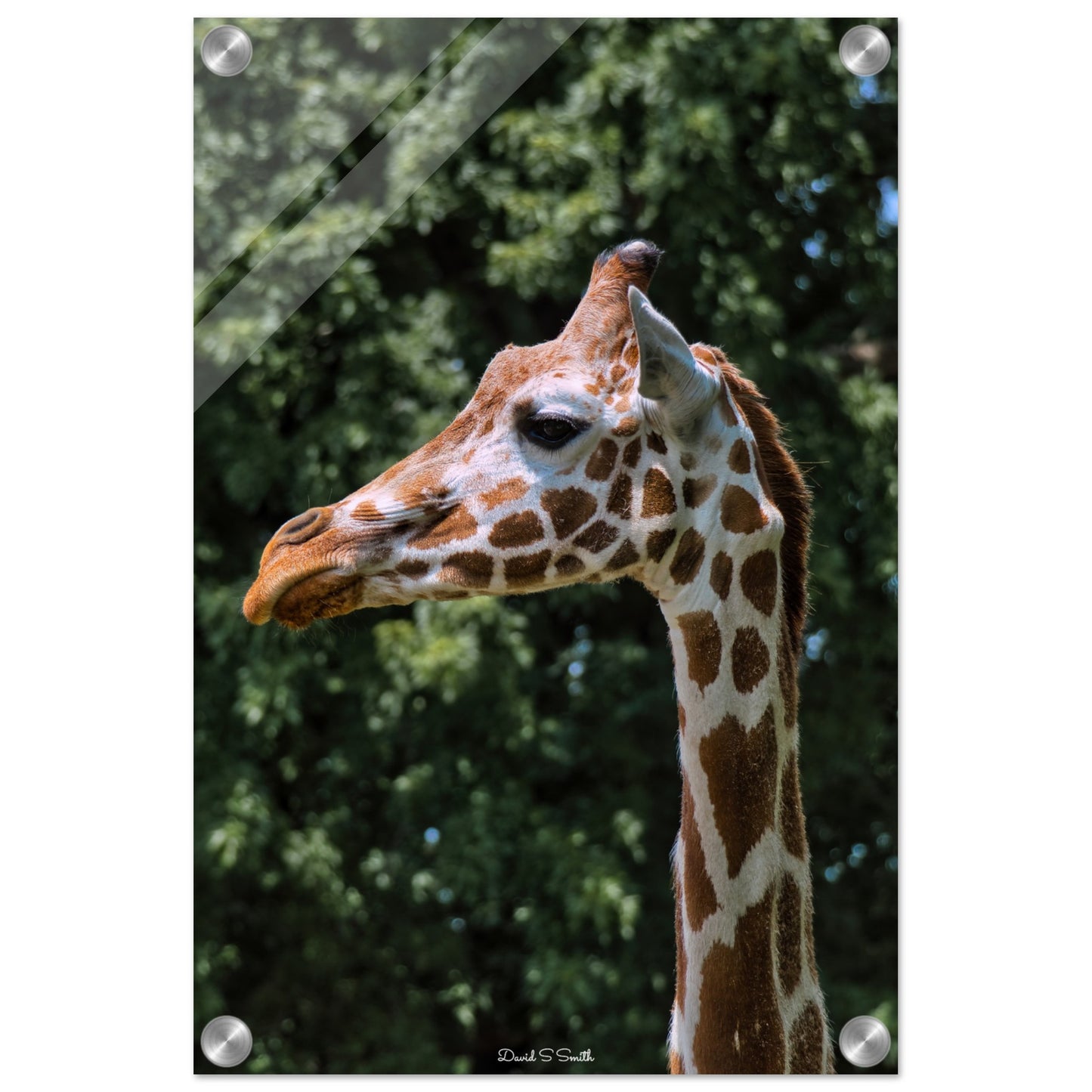 2964d1f9-0104-462c-a227-7ba7354ec744