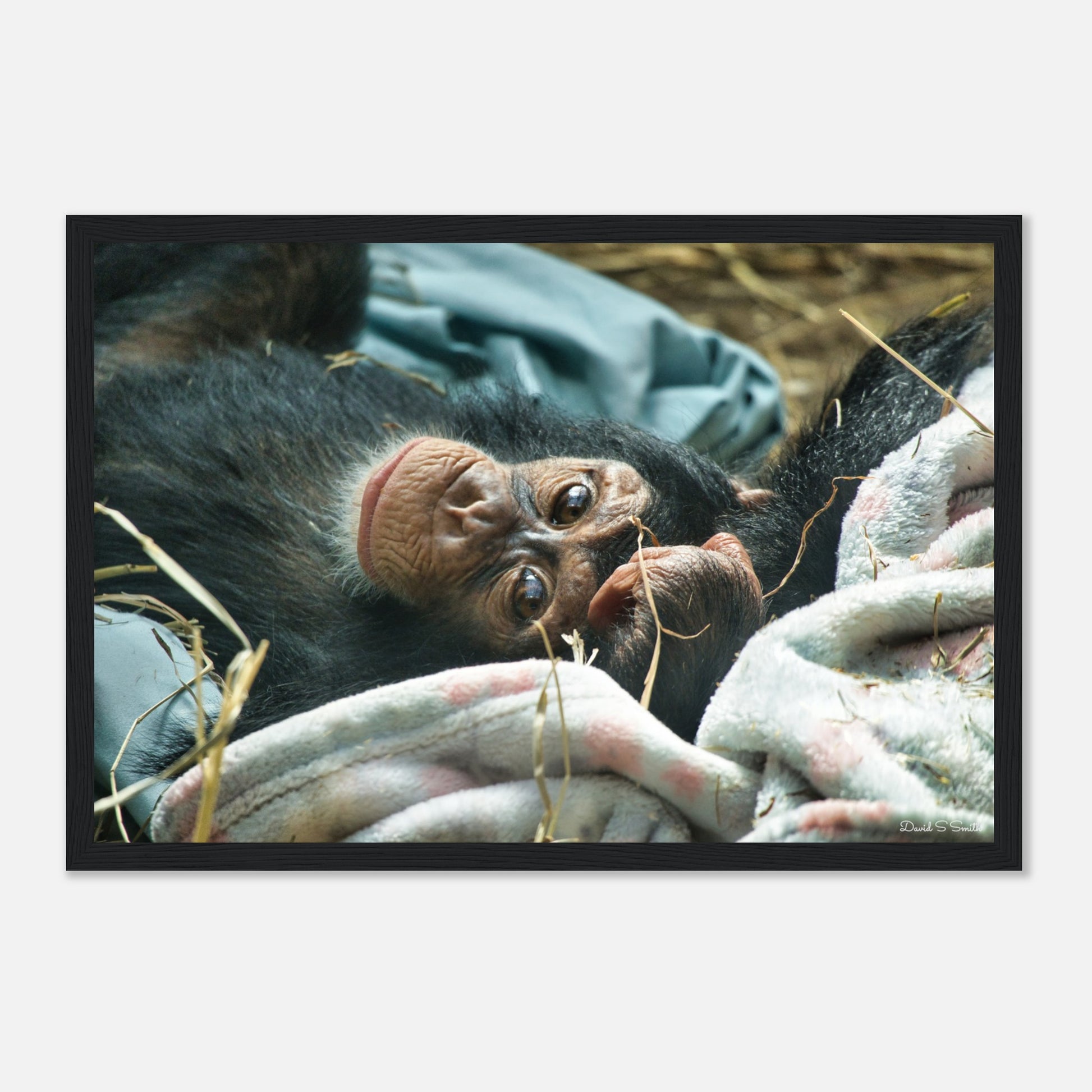 2a121f50-8be4-4fe4-84dc-f49629121199