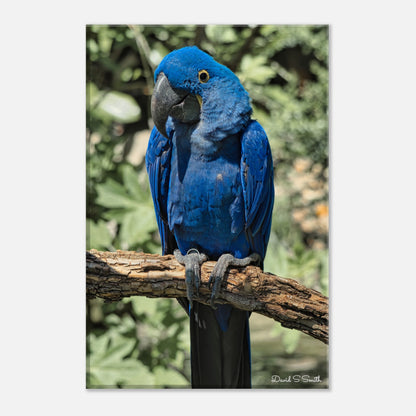 2cf4e736-4233-4d33-96ab-127ad91c5253